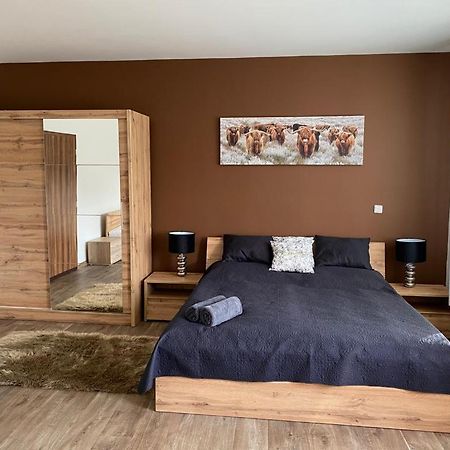 Apartmány Černý Tulipán #3 Plzeň Exteriér fotografie
