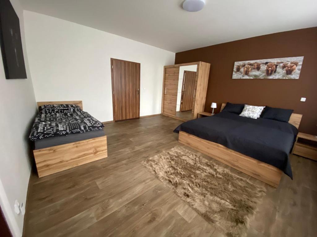Apartmány Černý Tulipán #3 Plzeň Exteriér fotografie