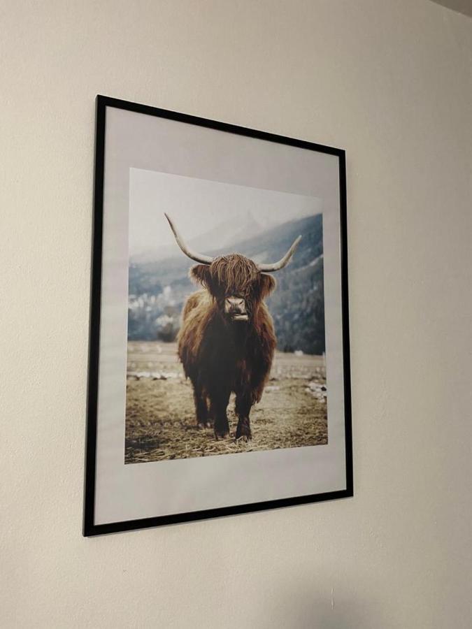 Apartmány Černý Tulipán #3 Plzeň Exteriér fotografie