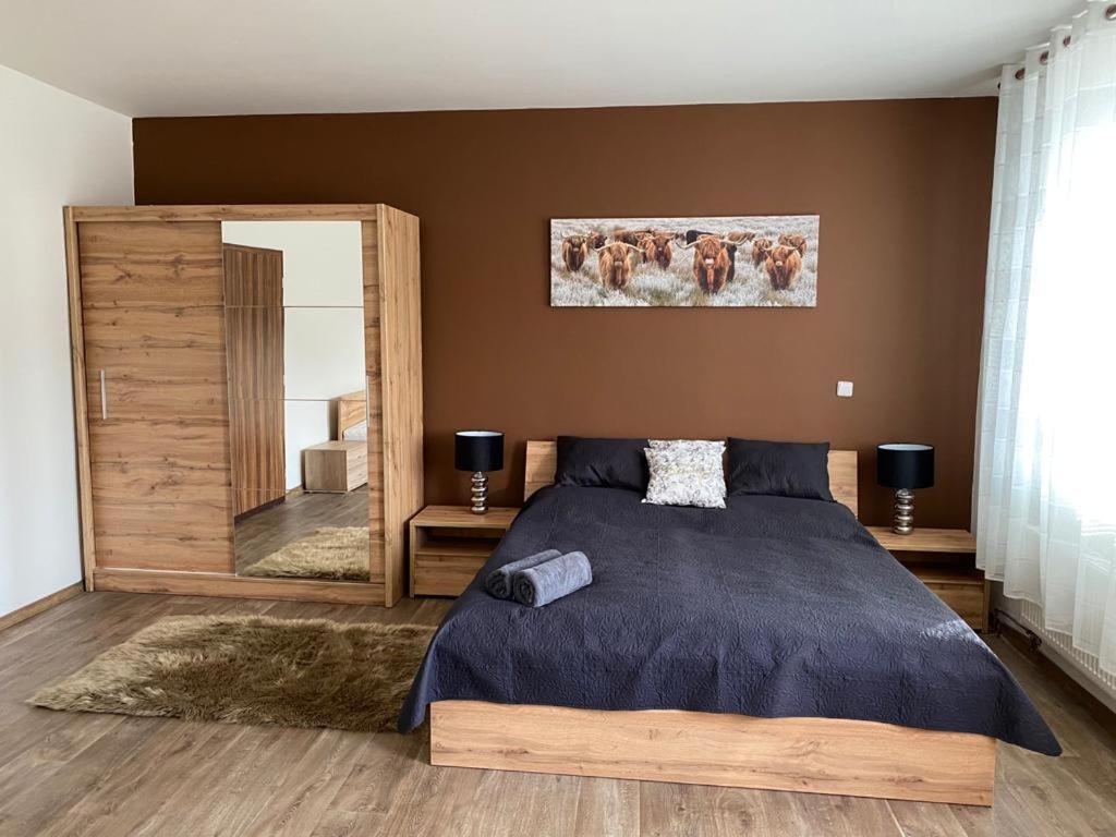 Apartmány Černý Tulipán #3 Plzeň Exteriér fotografie