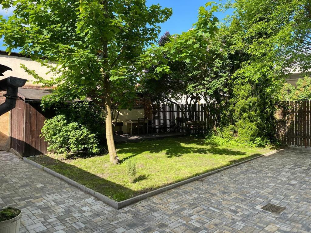 Apartmány Černý Tulipán #3 Plzeň Exteriér fotografie
