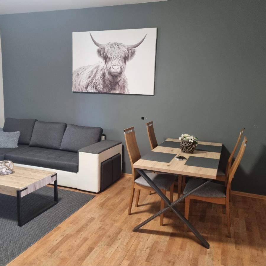 Apartmány Černý Tulipán #3 Plzeň Exteriér fotografie
