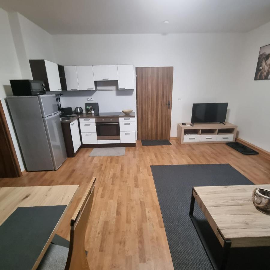 Apartmány Černý Tulipán #3 Plzeň Exteriér fotografie