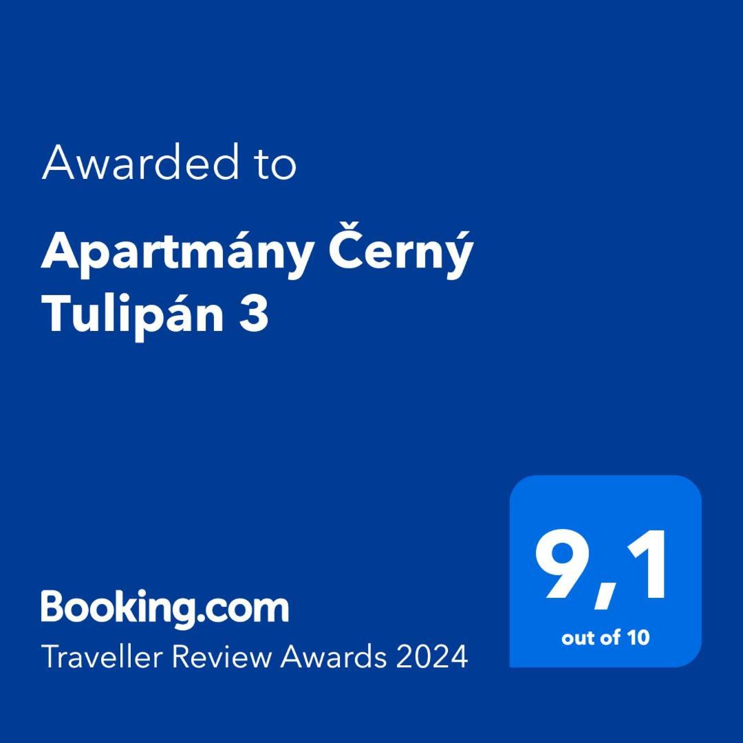 Apartmány Černý Tulipán #3 Plzeň Exteriér fotografie