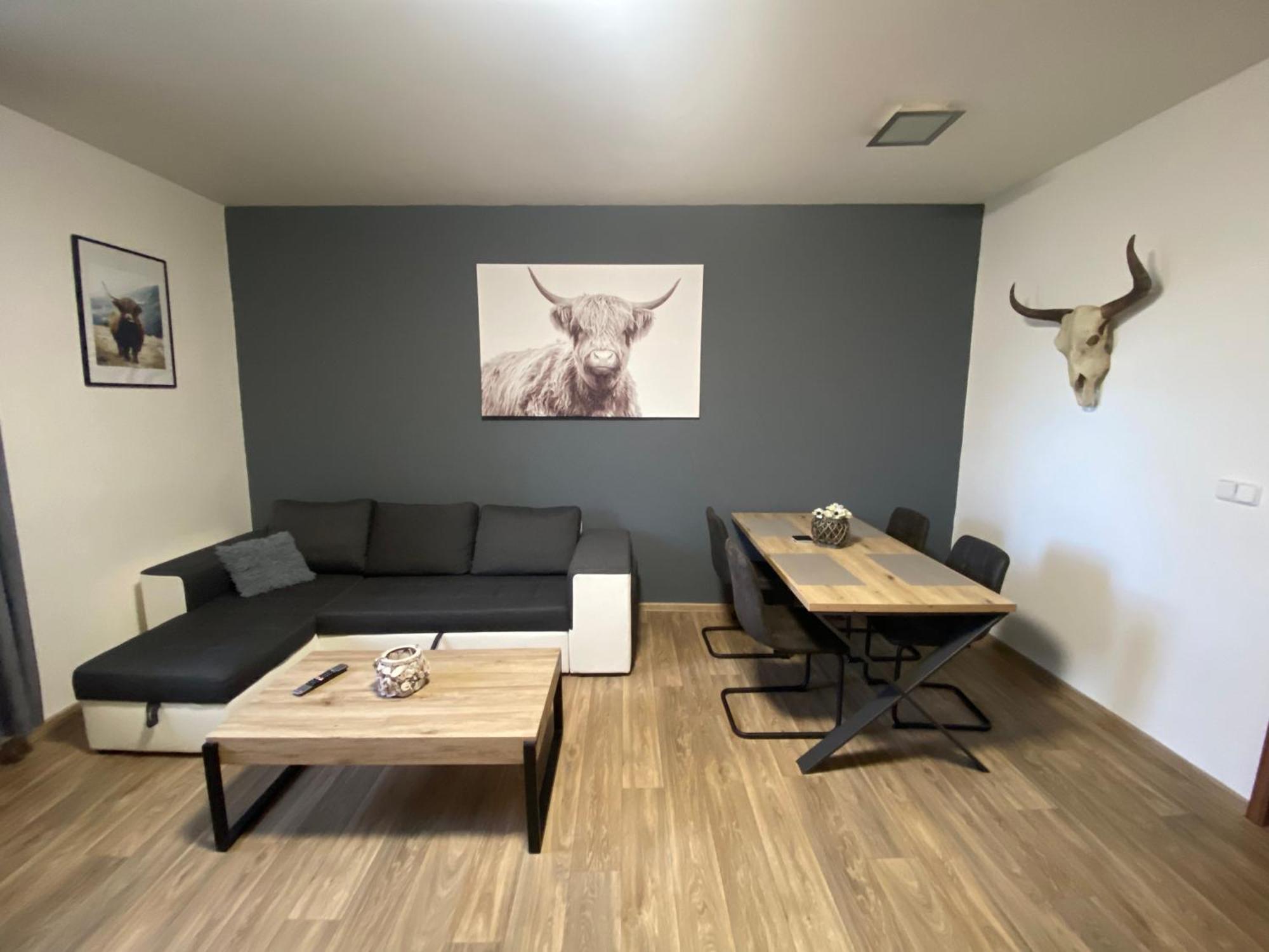 Apartmány Černý Tulipán #3 Plzeň Exteriér fotografie