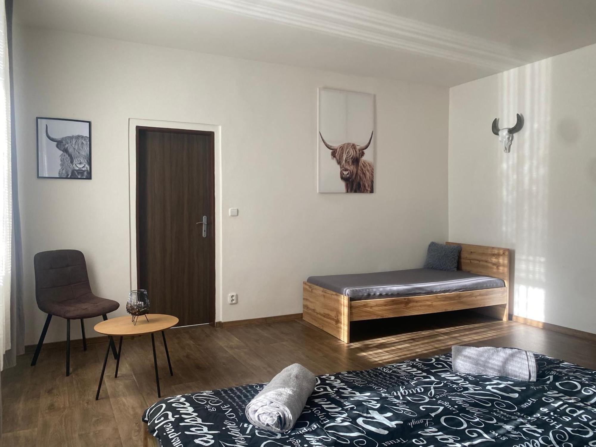 Apartmány Černý Tulipán #3 Plzeň Exteriér fotografie